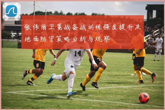 张伟丽卫冕战备战训练强度提升及地面防守策略分析与观察